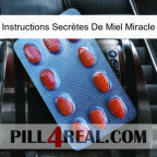 Instructions Secrètes De Miel Miracle 06